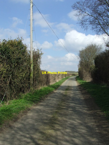Photo 6"x4" Cow Lane Springwell\/TL5241 c2016