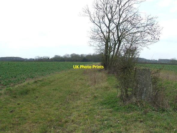 Photo 6"x4" Trig Point Hadstock c2016