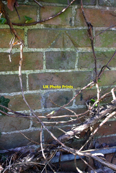 Photo 6"x4" Benchmark on #15 High Street Long Wittenham c2016