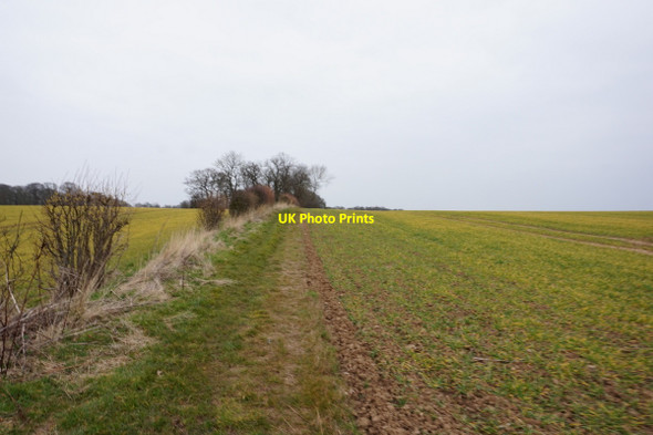 Photo 6"x4" Path leading to Fox Covert Old Ellerby c2016