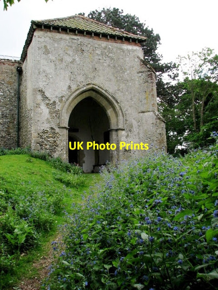 Photo 6"x4" Forget-me-nots beside the churchyard path East Barsham c2007