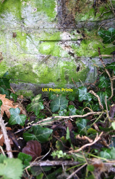 Photo 6"x4" Benchmark on Hatfield Pits Road wall Delly End c2016