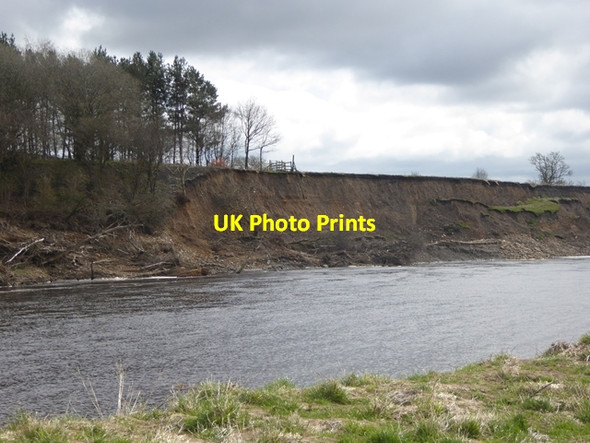 Photo 6"x4" River bank near  Warden Hexham c2016