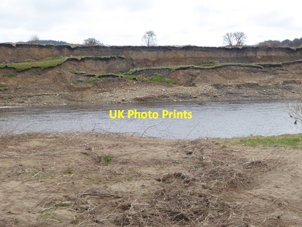 Photo 6"x4" River bank near Warden Hexham c2016