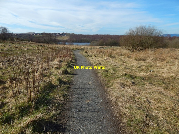 Photo 6"x4" Path in Coves Community Park Gourock c2016