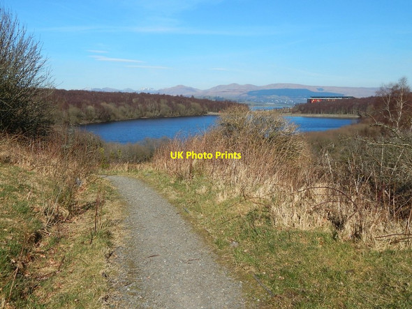 Photo 6"x4" Path in Coves Community Park Gourock c2016