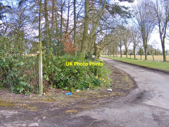 Photo 6"x4" Path Crossroads Kingswood Common\/SJ8402 c2016