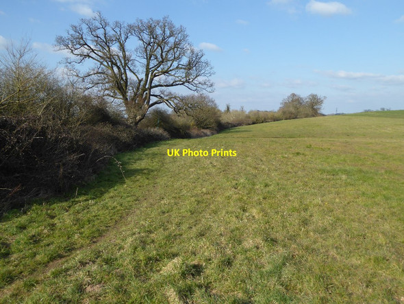 Photo 6"x4" Footpath from Severn Stoke to Croome Severn Stoke c2016