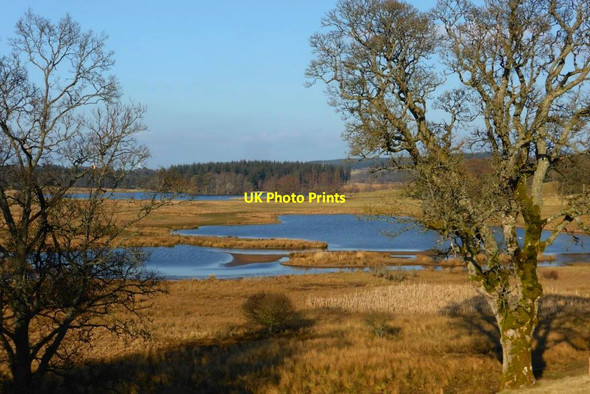 Photo 6"x4" Douglas Water, flood plain Douglas\/NS8330 c2016