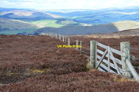 Photo 6"x4" Fence and gate, Hundleshope Heights Hundleshope c2016