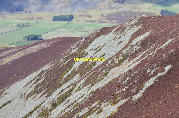 Photo 6"x4" Scree and heather, Juniper Craigs Hundleshope c2016