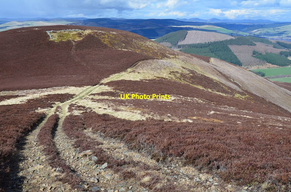 Photo 6"x4" Track on Juniper Craigs Hundleshope c2016