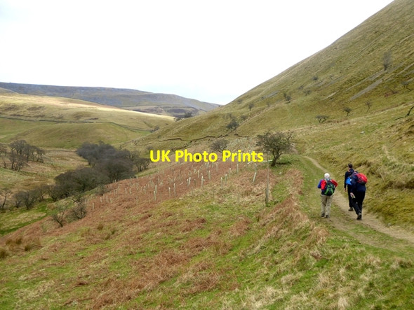 Photo 6"x4" Path above Great Rundale Beck Knock\/NY6727 c2016