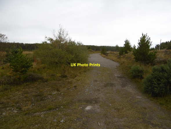Photo 6"x4" New road surface Edderton c2015
