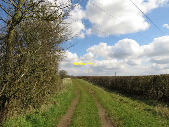 Photo 6"x4" A byway to Marcham Marcham c2016