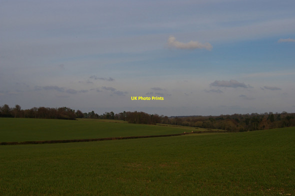 Photo 6"x4" Field south of Shire Lane Orpington c2016