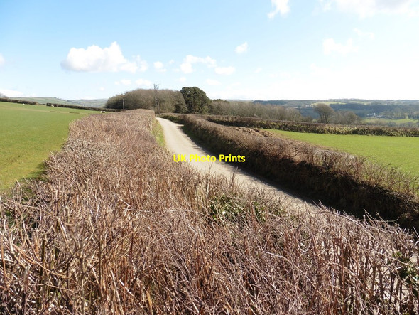 Photo 6"x4" Dudmoor Lane Clifton\/SS5941 c2016