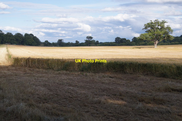 Photo 6"x4" Fields south of Oakley Park Church Oakley c2015