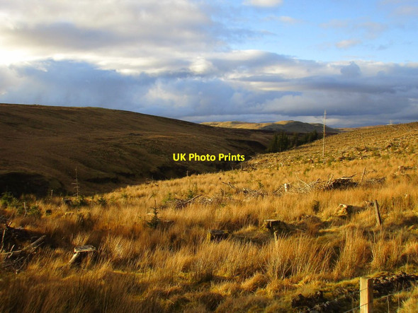 Photo 6"x4" View across the North Rotten Burn Berry Hill\/NS2469 c2016