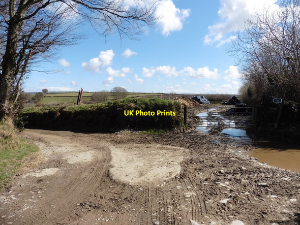Photo 6"x4" Muddy gateway near Shortacombe Corner Clifton\/SS5941 c2016