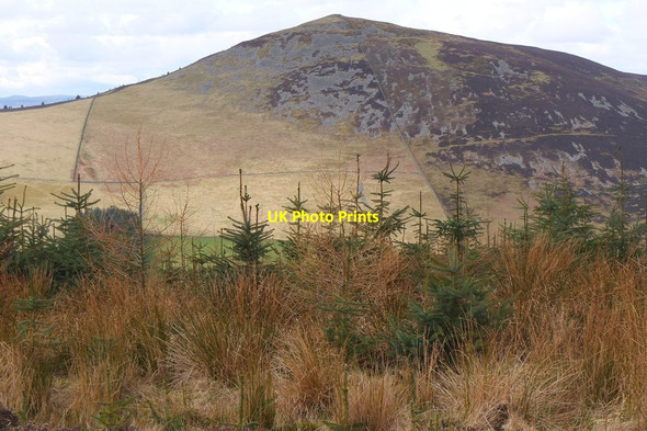 Photo 6"x4" Lee Pen from Pirn Craig Innerleithen c2016