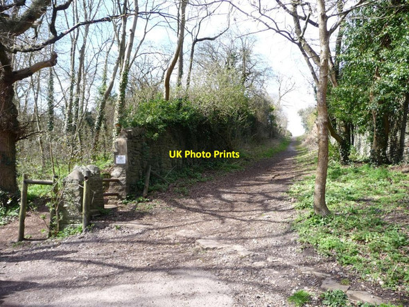Photo 6"x4" Former waggonway, north of Siston Brook Keynsham\/ST6568 c2016