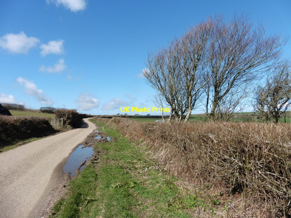 Photo 6"x4" Dudmoor Lane Berry Down Cross c2016