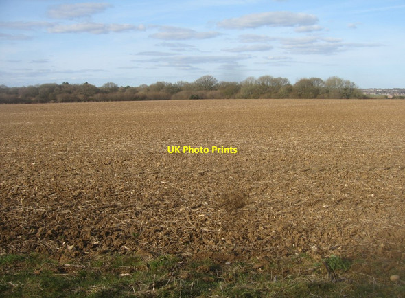 Photo 6"x4" View across Danny Field (26 acres) Pardown c2016