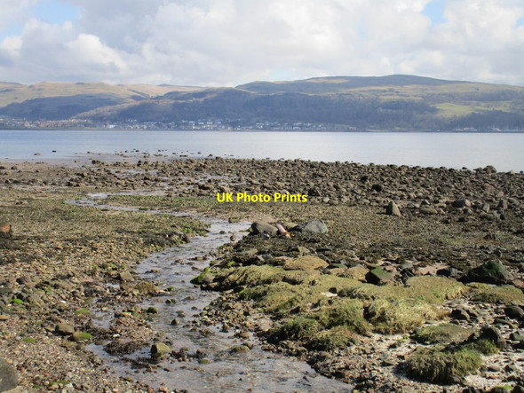 Photo 6"x4" Stinking Goat Largs\/NS2059 c2016