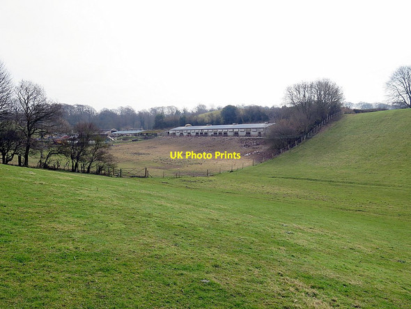 Photo 6"x4" Fields north-west of Daniel Farm Crawcrook c2016