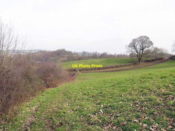 Photo 6"x4" Footpath west of Daniel Farm Crawcrook c2016