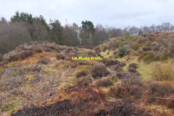 Photo 6"x4" Ramparts at Northshield Rings Darnhall Mains c2016