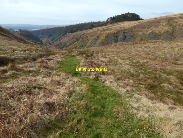 Photo 6"x4" Path leading to the Overtoun Burn Bellsmyre c2016