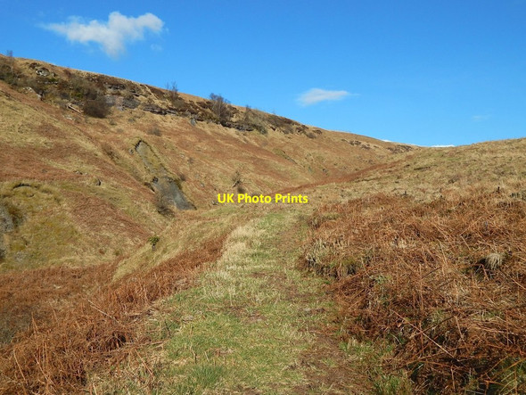 Photo 6"x4" Path beside the Overtoun Burn Bellsmyre c2016
