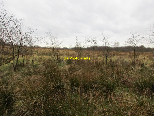 Photo 6"x4" Haithwaite Moss Catlowdy c2016