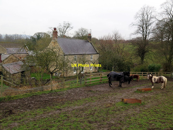 Photo 6"x4" Farmhouse, Daniel Farm Crawcrook c2016