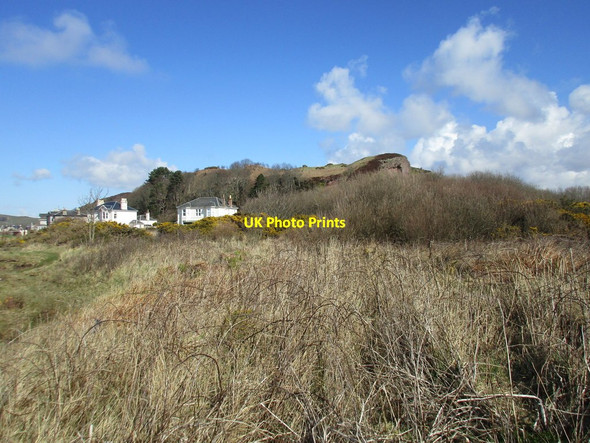 Photo 6"x4" Brambles, houses and Craigengour Hill Millport c2016