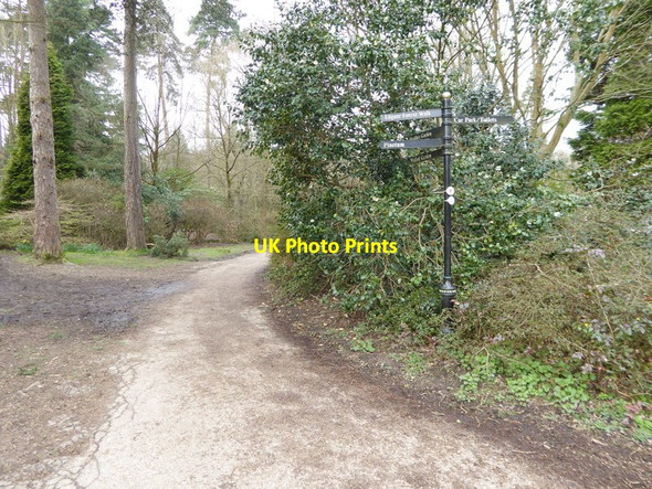 Photo 6"x4" Signpost in Tilgate Park Crawley\/TQ2736 c2016