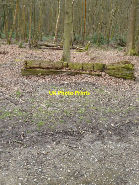 Photo 6"x4" Rustic seat by track in Tilgate Park Crawley\/TQ2736 c2016