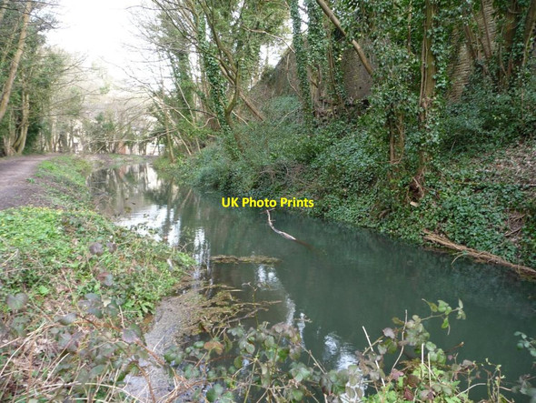 Photo 6"x4" The Thames & Severn Canal, east of the A419, Chalford Chalford\/SO8902 c2016