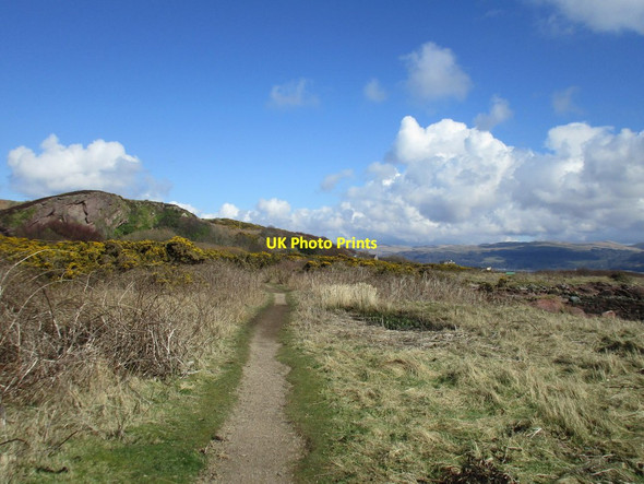 Photo 6"x4" Path and Craigengour Hill Millport c2016
