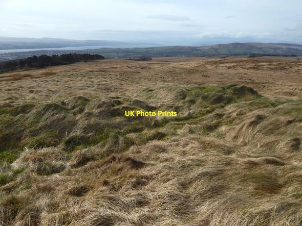 Photo 6"x4" Old boundary Bellsmyre c2016