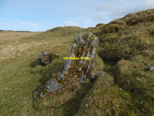 Photo 6"x4" Limestone outcrops Bellsmyre c2016