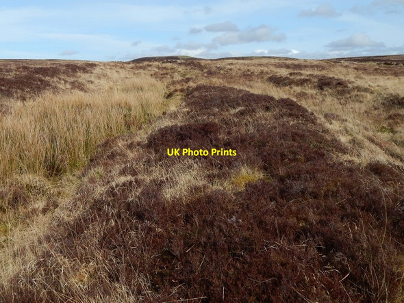 Photo 6"x4" Old braided track Bonhill c2016