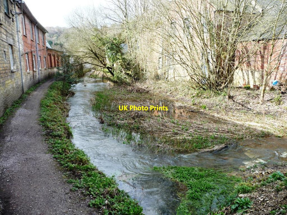 Photo 6"x4" The Thames & Severn Canal, west of the A419, Chalford Chalford\/SO8902 c2016