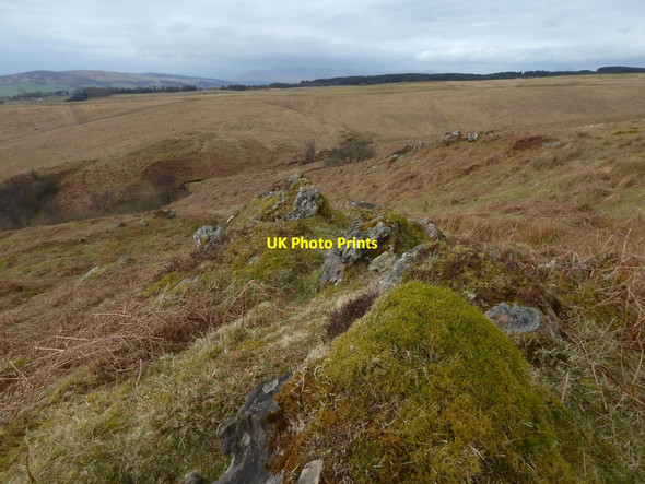 Photo 6"x4" Limestone outcrops Bonhill c2016