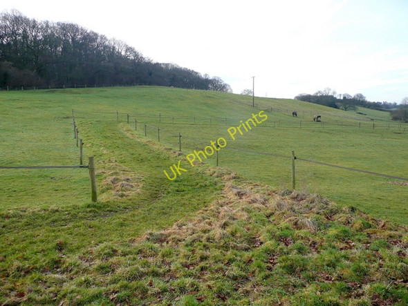 Photo 6"x4" View to Oakley Wood Brownheath Common c2009