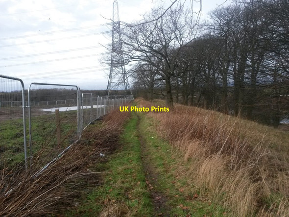 Photo 6"x4" Clyde Walkway at Newton Farm Broomhouse\/NS6662 c2016