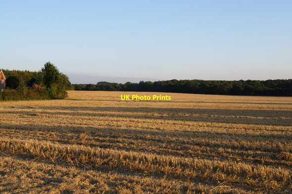 Photo 6"x4" East Field (37.5 acres) Pardown c2015