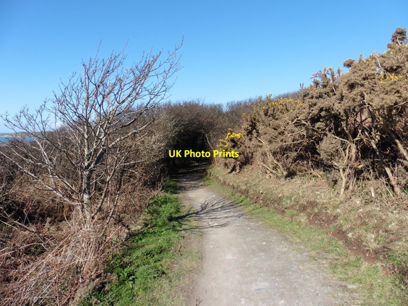 Photo 6"x4" South West Coast Path Vention c2016